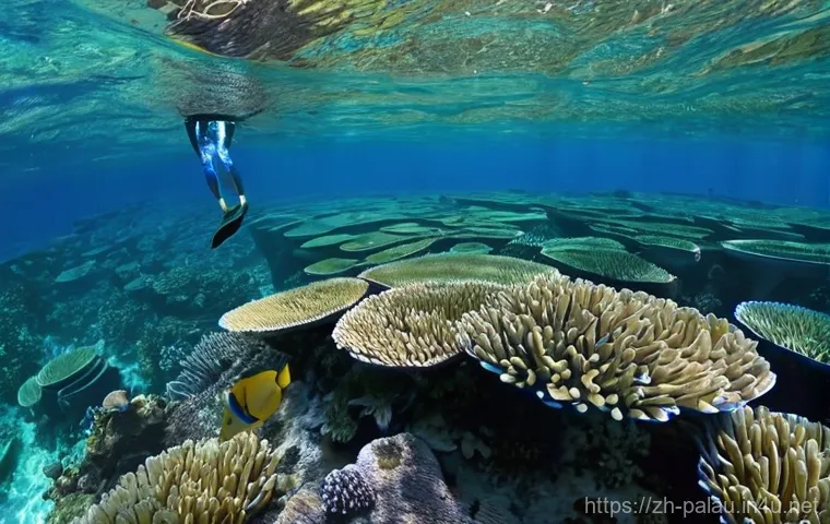 팔라우 여행 경비 절약법 - **Smart Travel Planning for Palau Adventure**
    A group of three diverse young adult friends (one ...