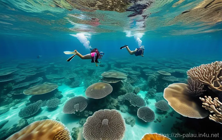 팔라우 병원 및 의료 서비스 - Prompt 1: Serene Snorkeling and Marine Conservation**