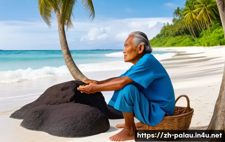 팔라우 언어와 공용어 관련 이미지 2