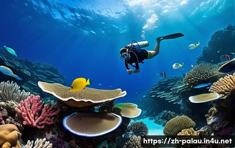 팔라우 유심칩과 데이터 사용법 관련 이미지 1