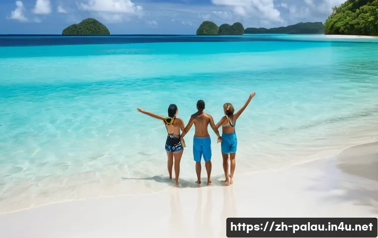 팔라우 유심칩과 데이터 사용법 관련 이미지 2